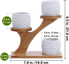 Load image into Gallery viewer, 3Pcs Owl Succulent Pots with 3 Tier Bamboo Saucers Stand Holder - White Modern Decorative Ceramic Flower Planter Plant Pot with Drainage - Home Office Desk Garden Mini Cactus Pot Indoor Decoration
