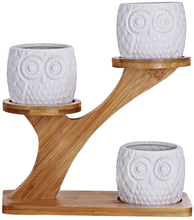 Load image into Gallery viewer, 3Pcs Owl Succulent Pots with 3 Tier Bamboo Saucers Stand Holder - White Modern Decorative Ceramic Flower Planter Plant Pot with Drainage - Home Office Desk Garden Mini Cactus Pot Indoor Decoration
