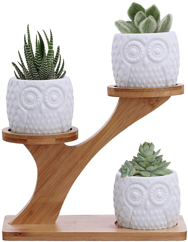 3Pcs Owl Succulent Pots with 3 Tier Bamboo Saucers Stand Holder - White Modern Decorative Ceramic Flower Planter Plant Pot with Drainage - Home Office Desk Garden Mini Cactus Pot Indoor Decoration